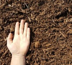 Mulch