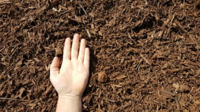 Brown Mulch Hand