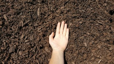 Dark Brown Mulch Hand