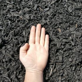 Black Mulch Hand