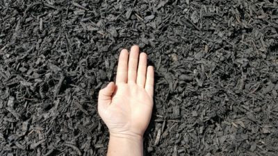 Black Mulch Hand