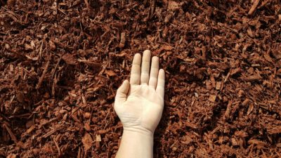 Red Mulch Hand