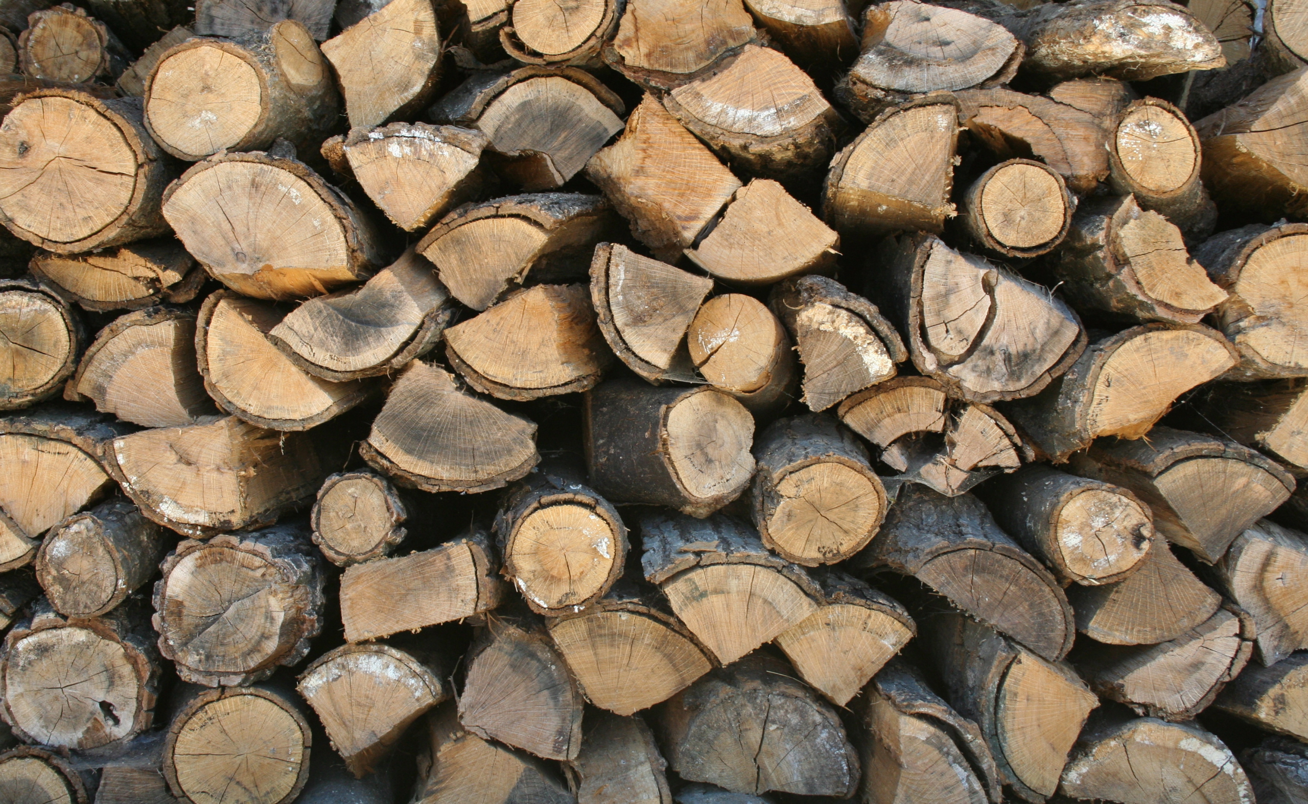 White Birch Firewood - Premier Firewood Company