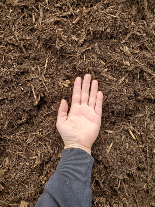 How To: Pick Out Mulch