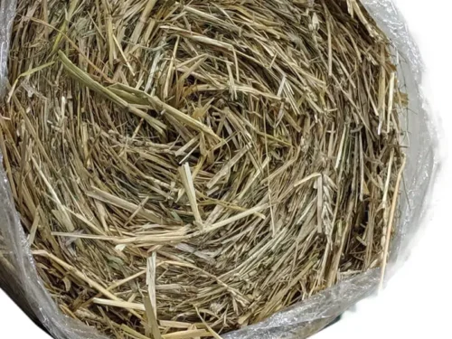 Alternative view of Straw Blanket