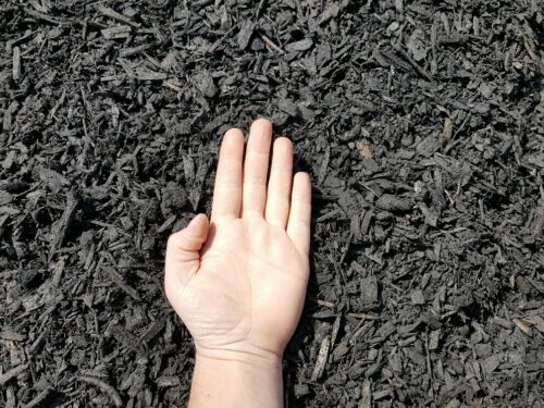 Black Mulch