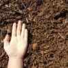 Brown Mulch