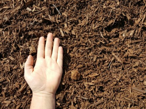 Brown Mulch
