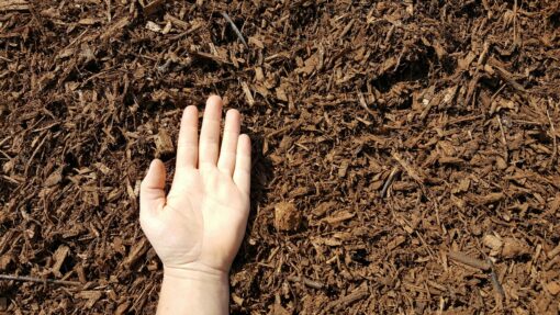 Brown Mulch