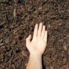 Dark Brown Mulch
