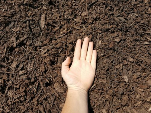 Dark Brown Mulch