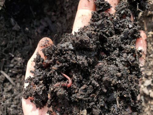Fill Soil