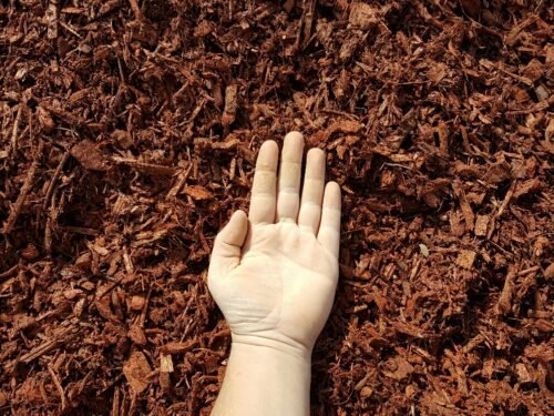 Red Mulch