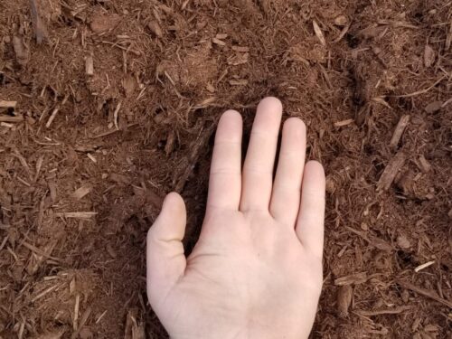 Bark Mulch - Southern