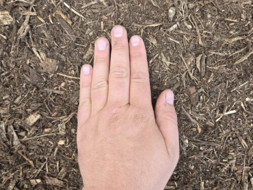 Triple Ground Mulch