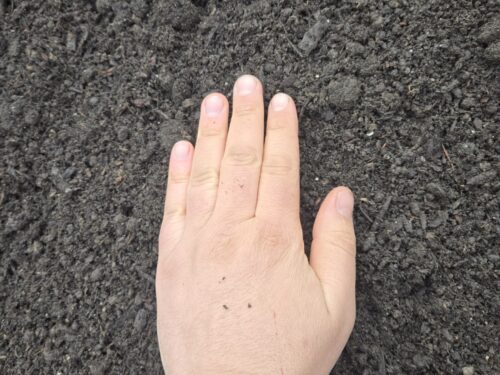 Alternative view of Super Soil Planters Mix